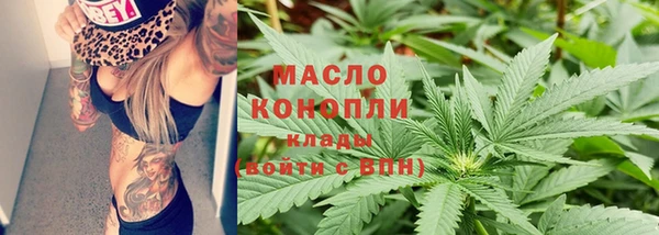 гидра Горнозаводск