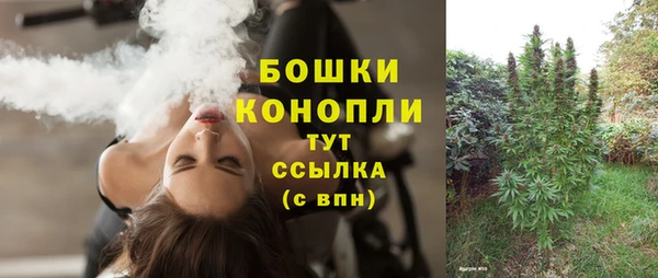 гидра Горнозаводск